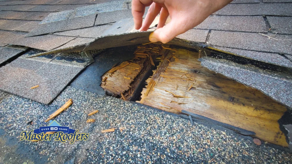 Shingles Impact