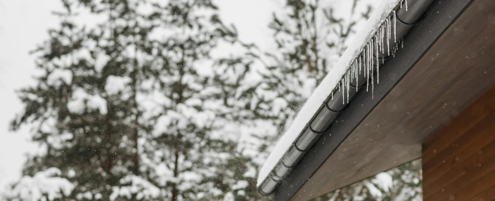 Spot Roof Damage